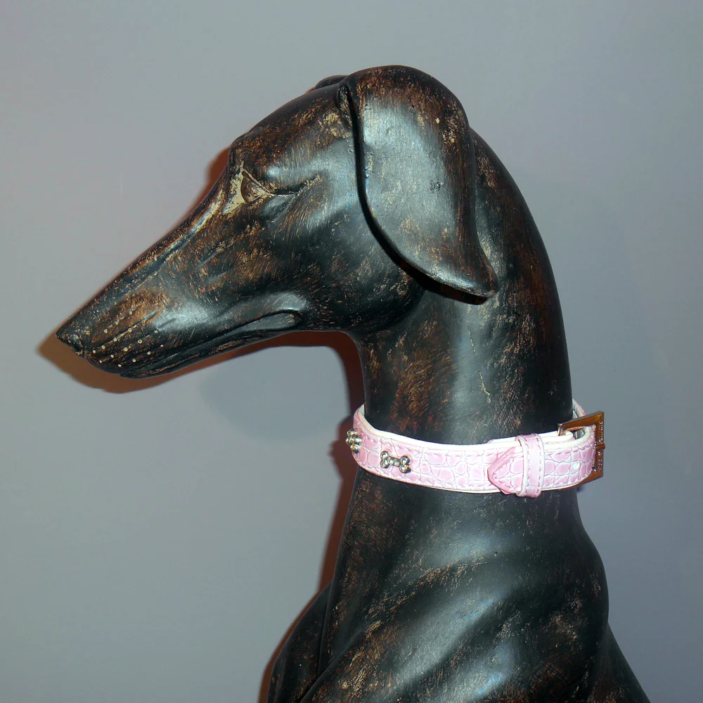 Bone Charm Collar - Image 4