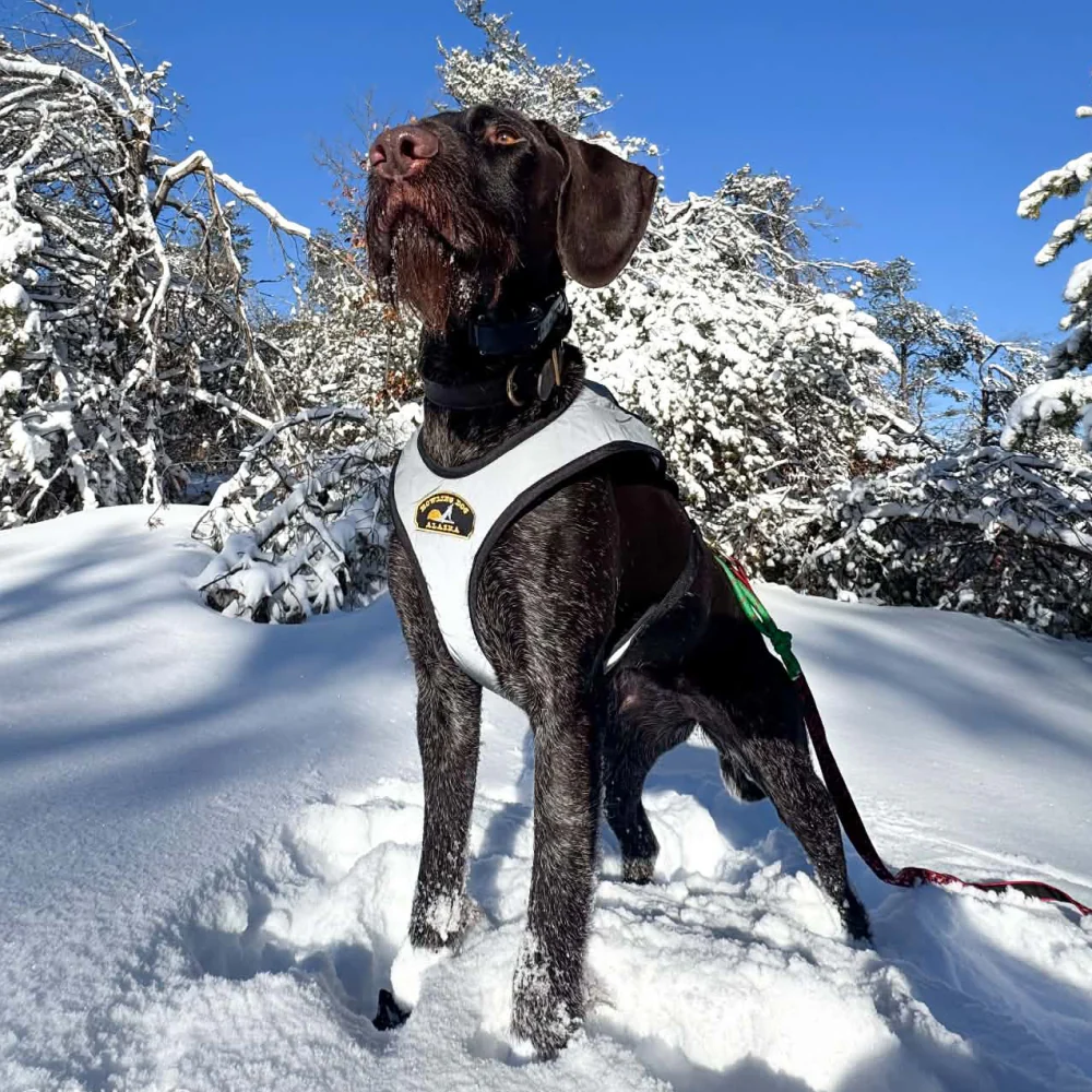 Flash™ Harness - Image 3