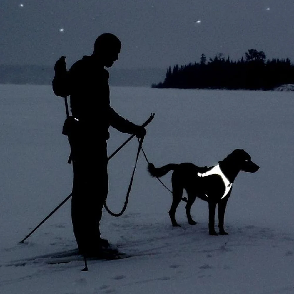 Flash™ Harness - Image 5