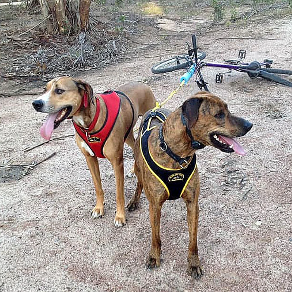 Second Skin™ Harness - Image 5