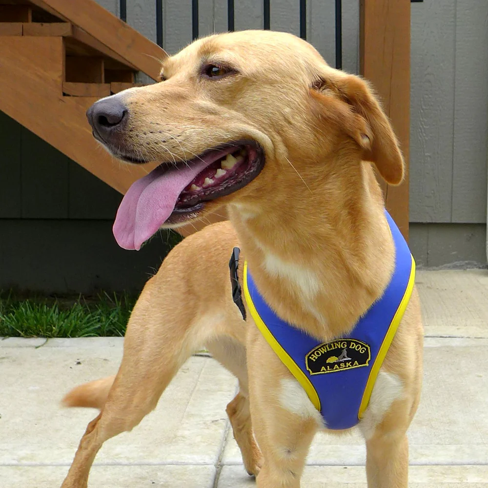 Tough Skin™ Harness - Image 3