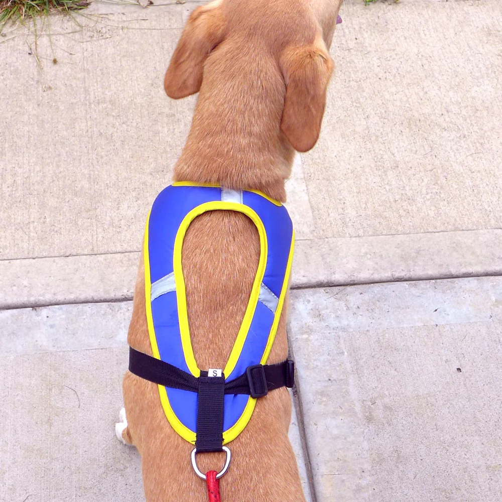 Tough Skin™ Harness - Image 4