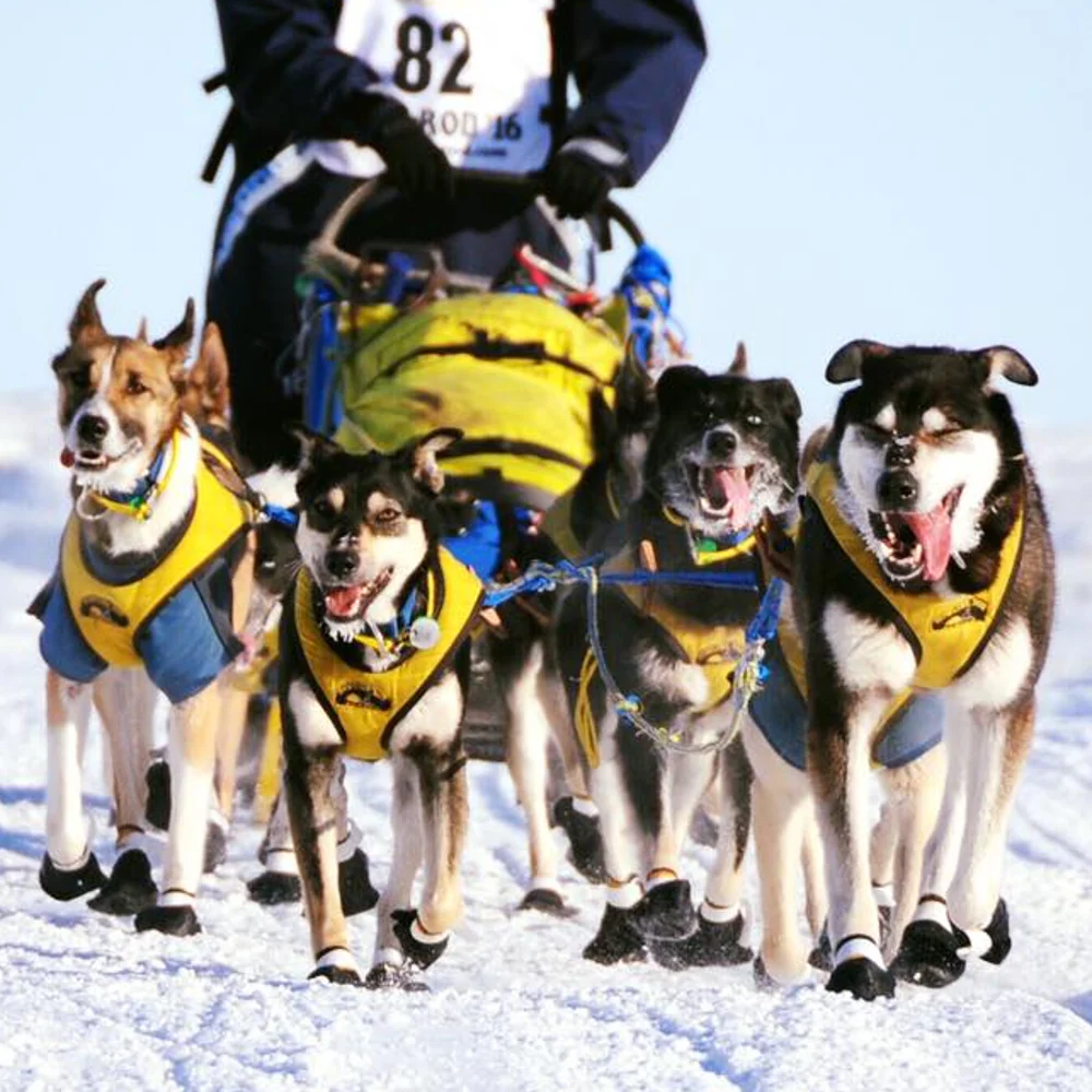 Tough Skin™ Harness ULTRA - Image 5