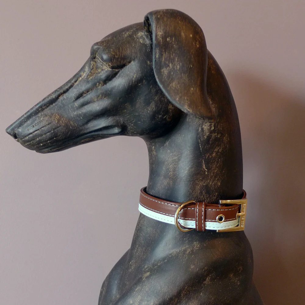 Two Tone Collar - Image 4